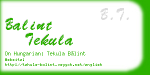 balint tekula business card